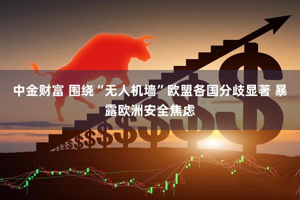 中金财富 围绕“无人机墙”欧盟各国分歧显著 暴露欧洲安全焦虑